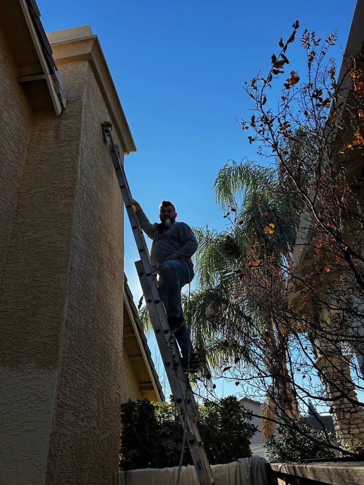 A painter in a respirator working from an extension ladder at the eaves of a stucco house, cutting in the fascia against a clear sky.